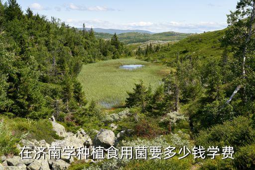 金针菇养殖培训班多少钱，在济南学种植食用菌要多少钱学费
