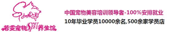 宠物狗养殖技术学校_养狗培训学校_养宠物培训