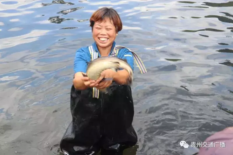 致富经贵州养殖最赚钱_致富贵州养殖赚钱吗现在_贵州养殖业什么最赚钱