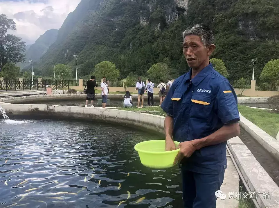 致富经贵州养殖最赚钱_致富贵州养殖赚钱吗现在_贵州养殖业什么最赚钱