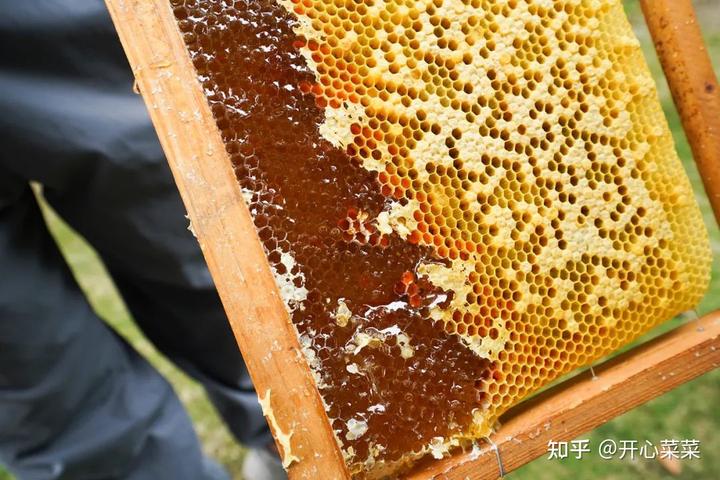 种植莲子的效益怎么样_致富莲子种植方法_种植莲子致富