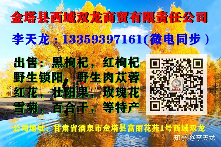 2020年最具潜质的农业项目黑枸杞种植育苗种籽发家致富全国好产业