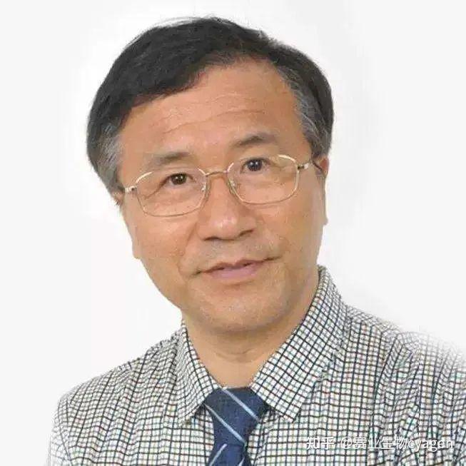 致富经肠_致富经肠_致富经肠