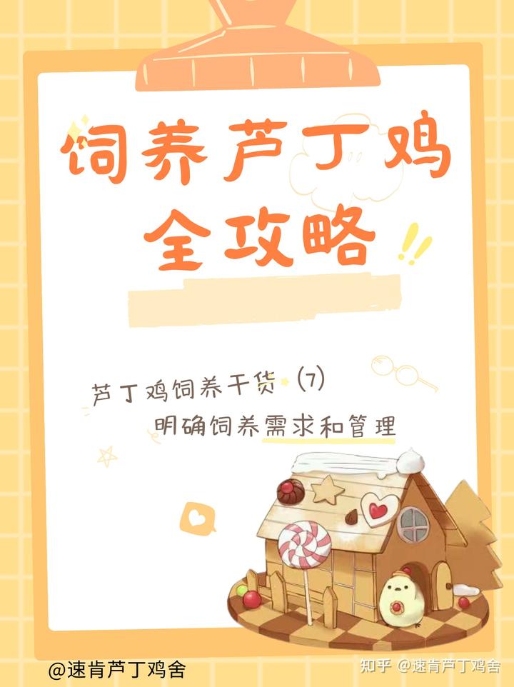 视频致富养殖新手教程_视频致富养殖新手怎么做_新手养殖致富视频