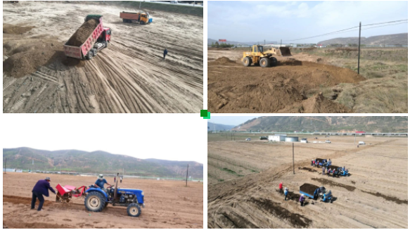 致富种植果园图片_果园种植基地_果园种植致富