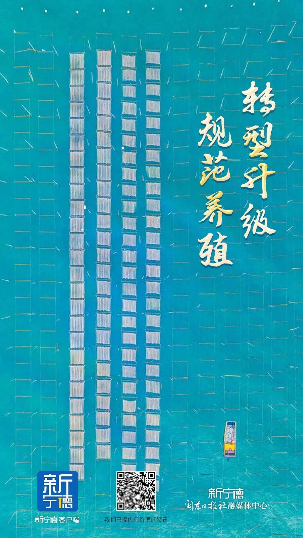 海上养殖致富菜_大型海上养殖平台_海里养殖什么最赚钱
