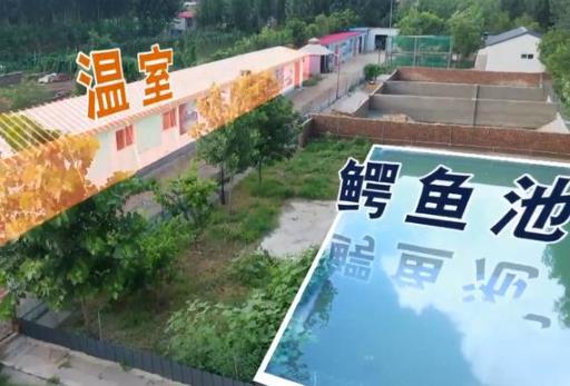 致富经大棚淡水虾养殖技术_致富经大棚养虾_致富虾淡水养殖大棚技术要求