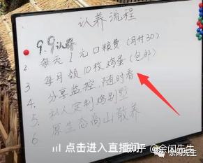 致富经养小鸡_致富经养殖鸡视频_致富经养鸡技术视频