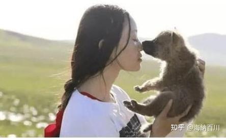 致富经养狼_富人养狼_致富经养犬视频全集