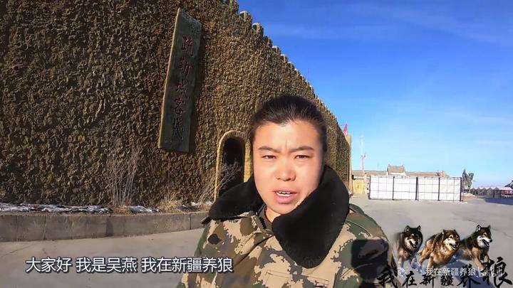 富人养狼_致富经养狼_致富经养犬视频全集