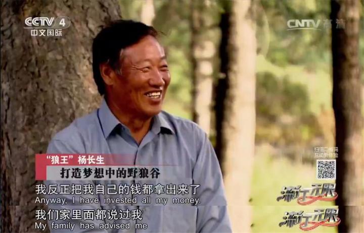 富人养狼_致富经养犬视频全集_致富经养狼