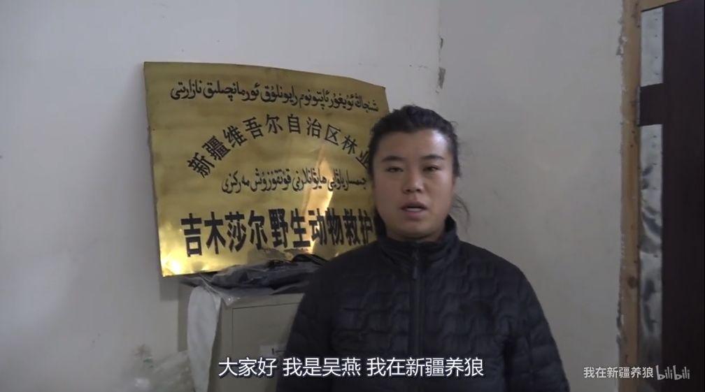 致富经养犬视频全集_致富经养狼_富人养狼