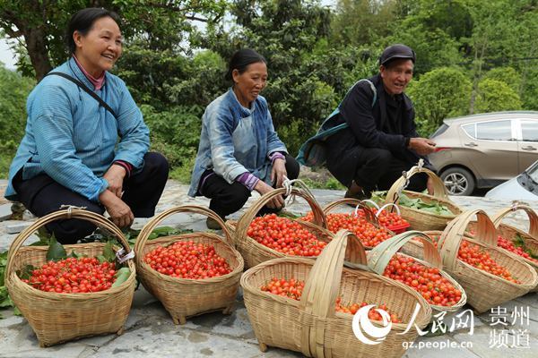 致富故事会视频全集_无腿硬汉养羊致富视频_致富经江龙视频