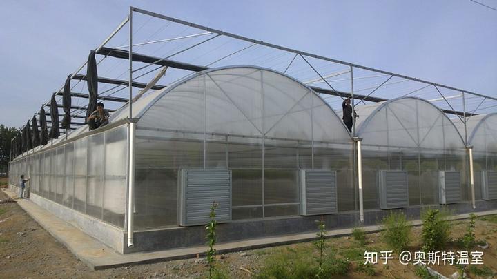 温室大棚除湿方法合集
