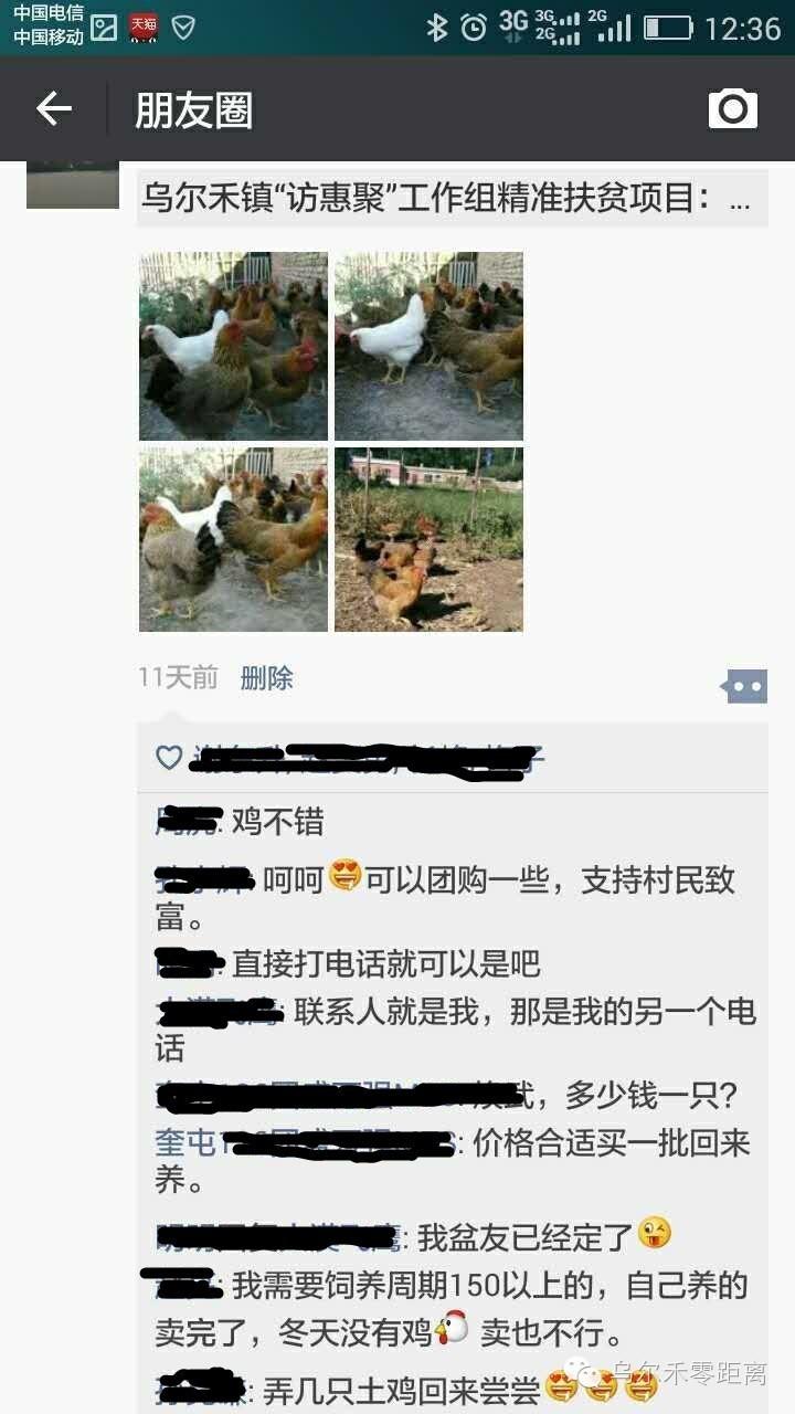 精准扶贫新出路 养鸡致富促增收