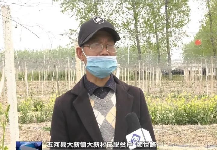 致富经瓜蒌种植视频_瓜蒌种植致富新闻_致富经瓜蒌种瓜蒌的视频