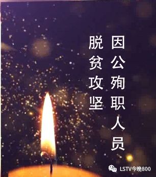雷波脐橙苗木多少钱一棵_雷波脐橙种植技术_雷波脐橙种植致富