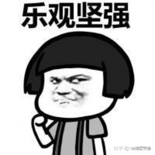 种植沙糖桔效益及风险_种植沙糖桔有什么要求_沙糖桔种植技术教材