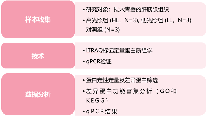 致富经瓦缸养殖青蟹_致富养殖青蟹瓦缸图片_致富养殖青蟹瓦缸视频