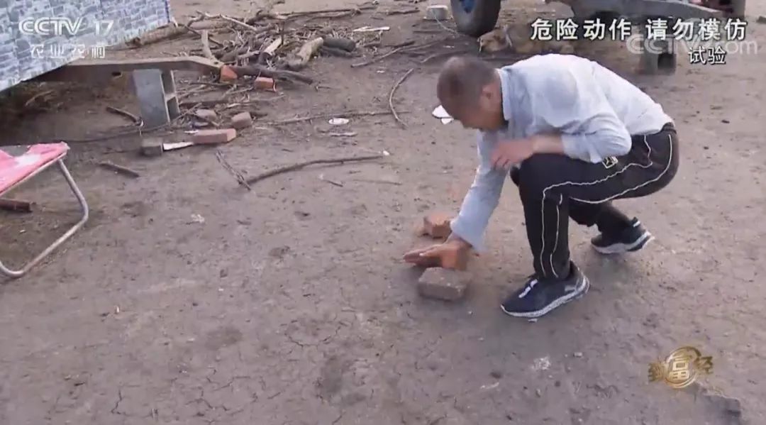立体种养  致富经_立体养殖业_立体种养殖模式有哪些