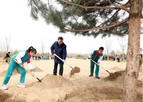 种植什么树苗致富_想致富多种树_种树致富经