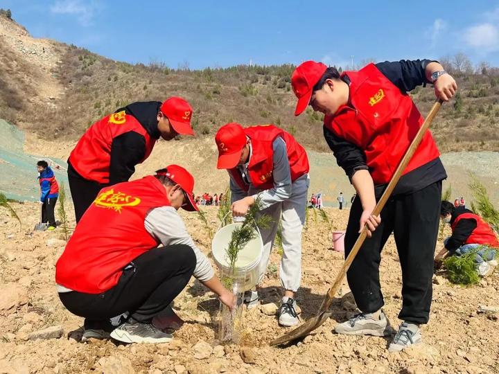 种植什么树苗致富_种树致富经_想致富多种树