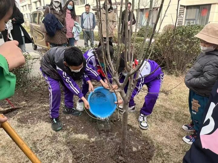 种植什么树苗致富_想致富多种树_种树致富经