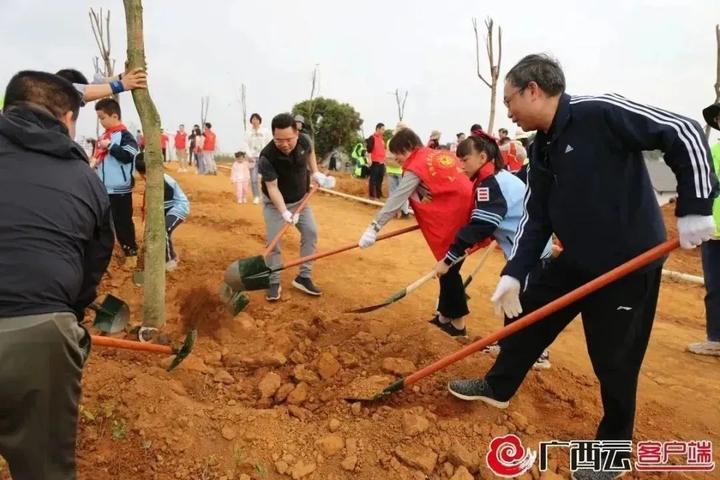 种树致富经_想致富多种树_种植什么树苗致富