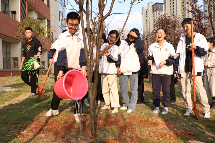 种树致富经_种植什么树苗致富_想致富多种树