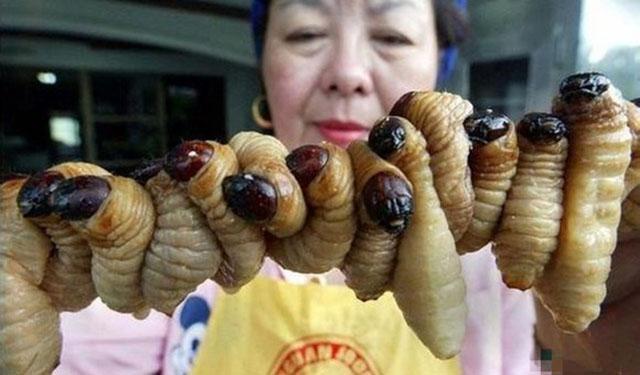 烧烤界的7大昆虫美食, 吃过一种就算你厉害!