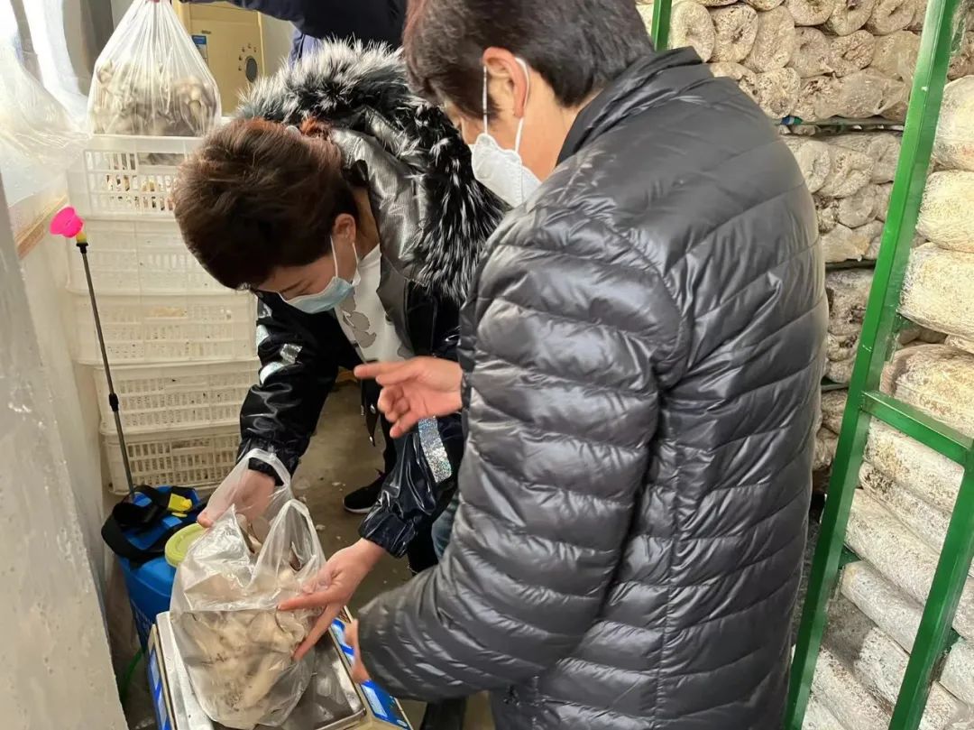 立体种养  致富经_立体种植养殖模式视频_立体种养殖模式有哪些
