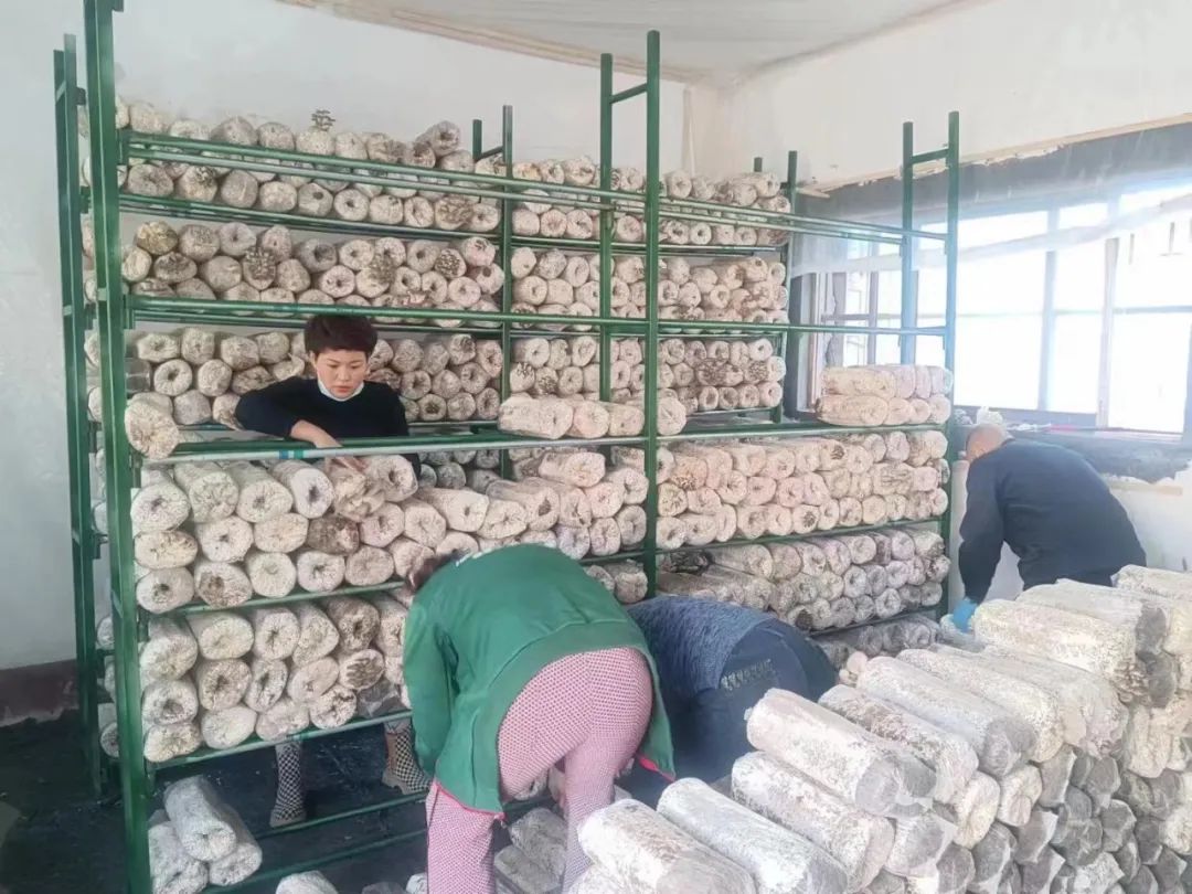 立体种养殖模式有哪些_立体种养  致富经_立体种植养殖模式视频