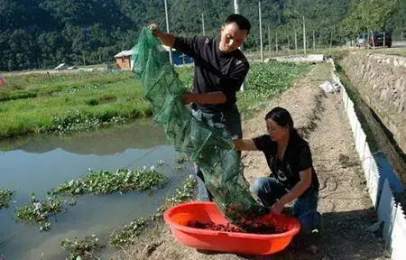 虾蟹养殖场_虾蟹共养致富经_虾蟹养殖学
