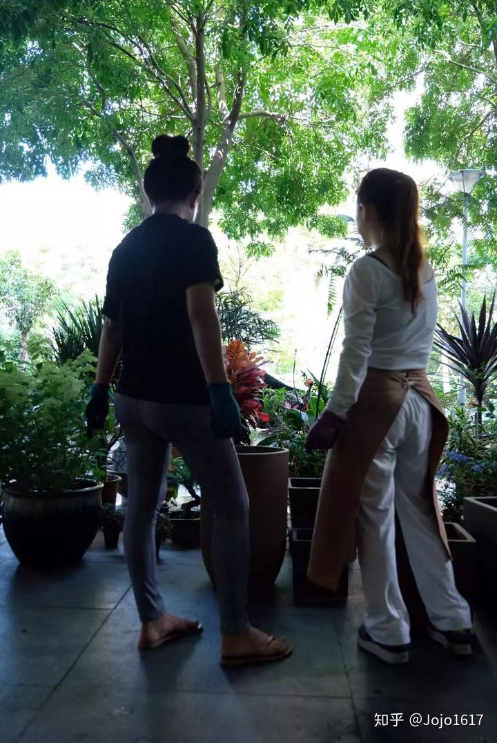 种花致富选什么品种_种植花草怎么致富_种植花卉致富