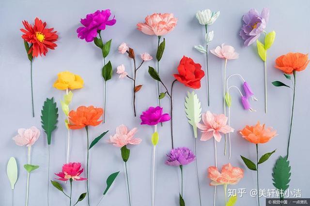 种红薯致富经_致富红薯养殖方法_养殖红薯致富