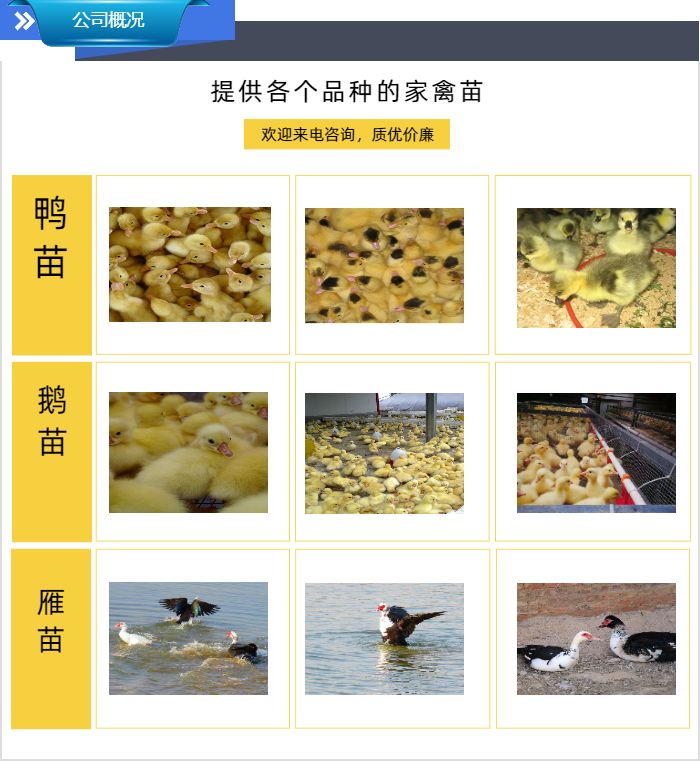 鸳鸯养殖技术视频_鸳鸯养殖技术播放_鸳鸯的养殖视频