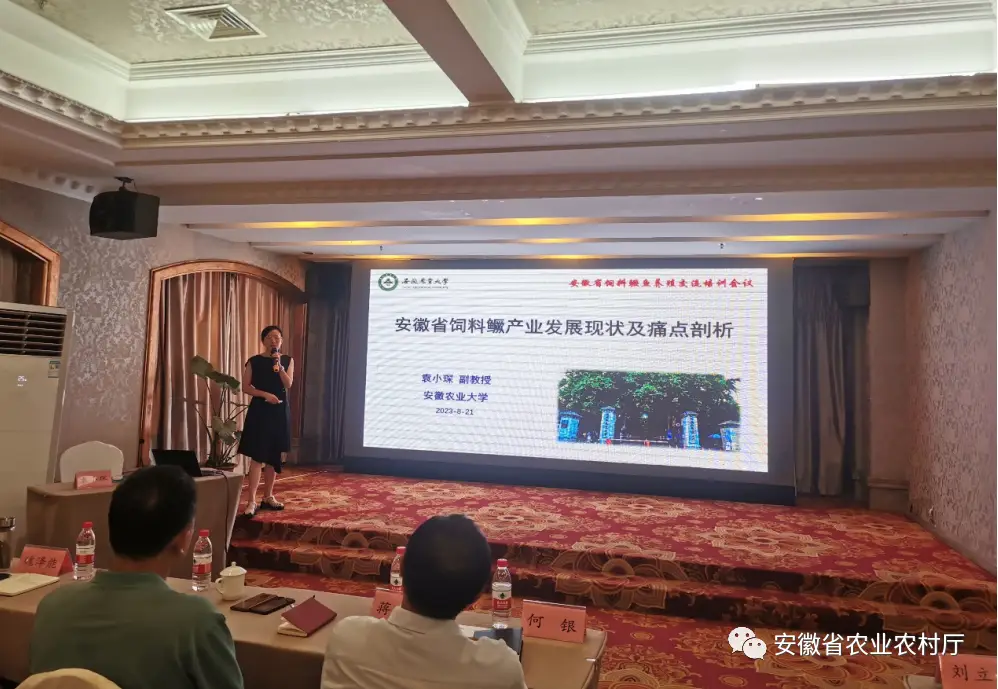 鳜鱼养殖视频教程_鳜鱼养殖最新技术视频7_致富经鳜鱼养殖技术视频