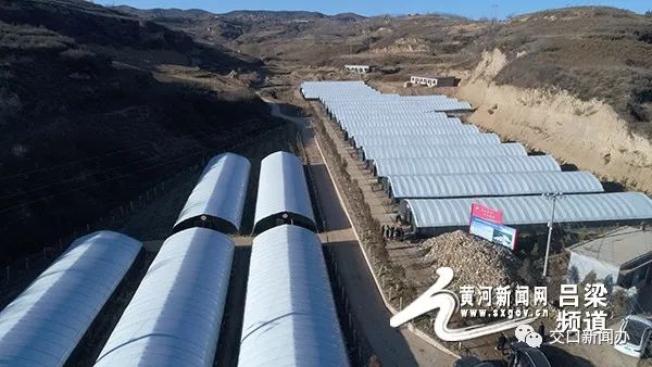 吕梁：交口县石口乡郑记平种植平菇带动村民致富(图)
