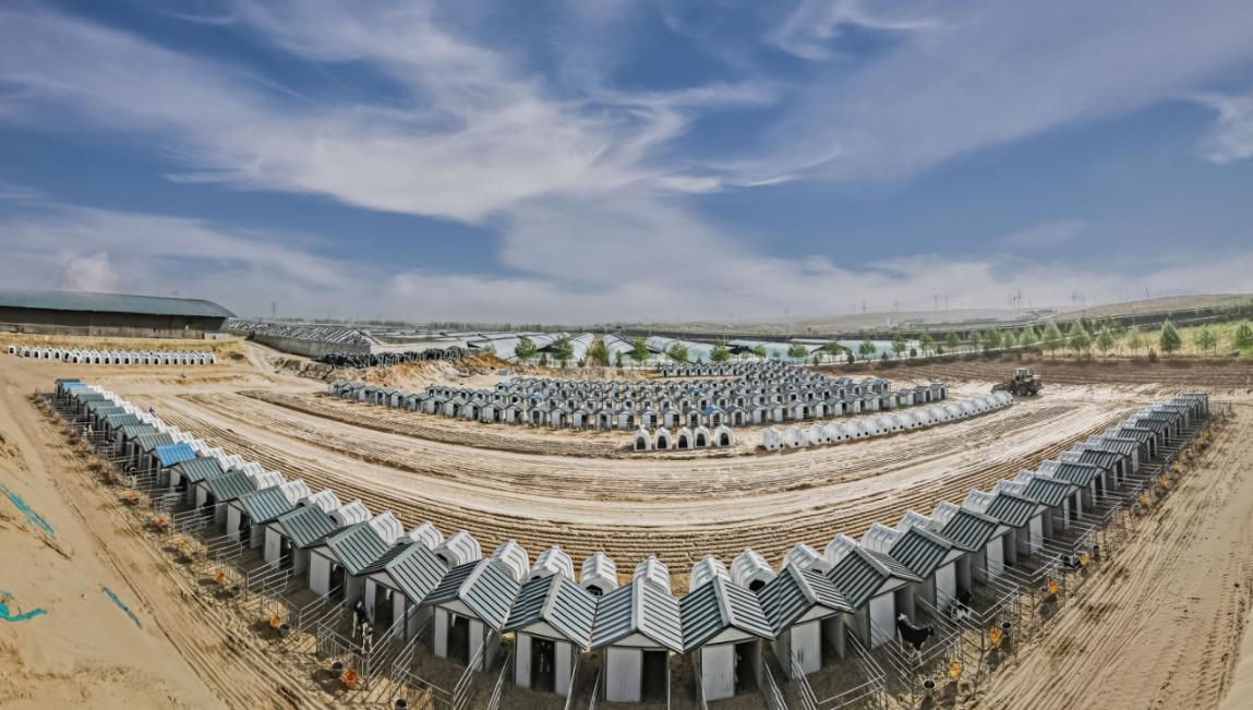 致富养猪场_致富牧场养殖大型饲料_大型牧场养殖致富