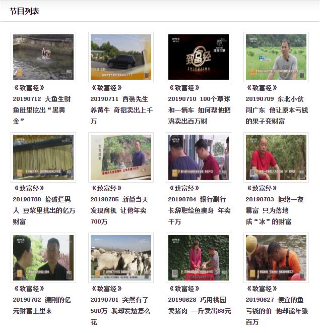 致富好项目加盟_发家致富好项目_致富经致富好项目