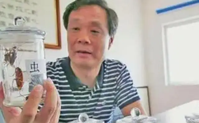 2011年山东大哥辞掉公务员，上山靠厨余垃圾养蟑螂，后来怎样了？