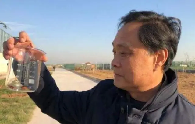 怎样养殖蟑螂致富_养蟑螂致富视频_蟑螂养殖赚钱吗