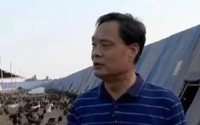 蟑螂养殖赚钱吗_养蟑螂致富视频_怎样养殖蟑螂致富