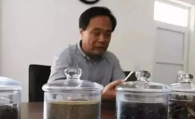 蟑螂养殖赚钱吗_养蟑螂致富视频_怎样养殖蟑螂致富