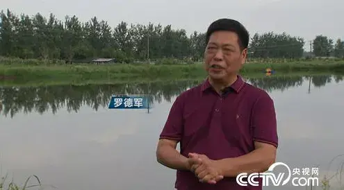 罗氏虾养殖技术视频_湖北罗氏虾养殖技术_罗氏虾养殖户