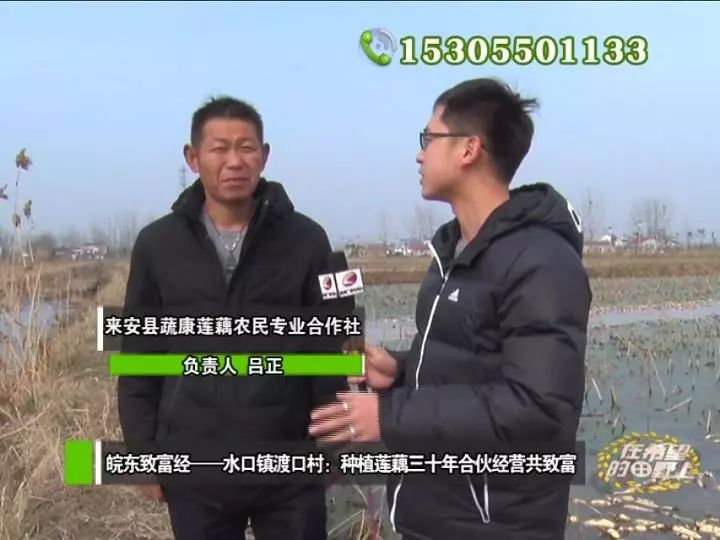 田野种植致富_农村致富种植_田野种植什么