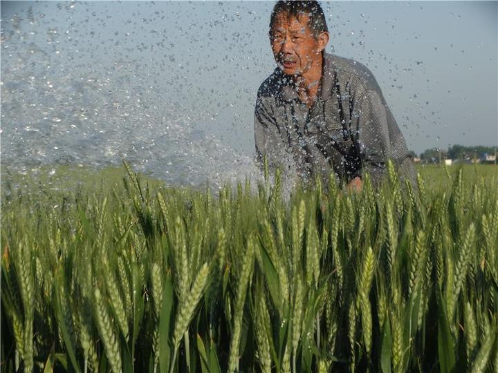 叉尾水花大量死亡是什么原因_叉尾鮰水花养殖技术_叉尾养殖模式