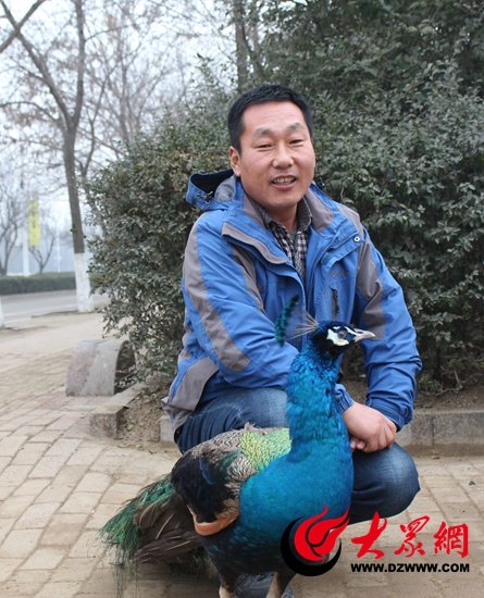 申为杰和他的孔雀