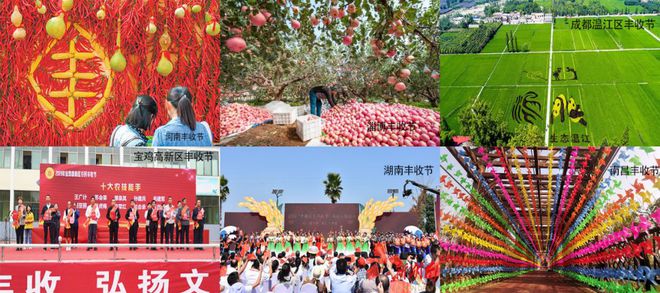 70后农民种植致富水稻_致富经种水稻_农民种植水稻会遇到哪些问题