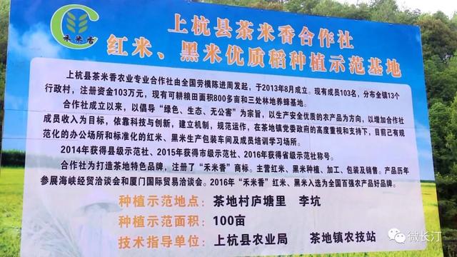 上杭：致富“头羊”带领乡亲奔小康